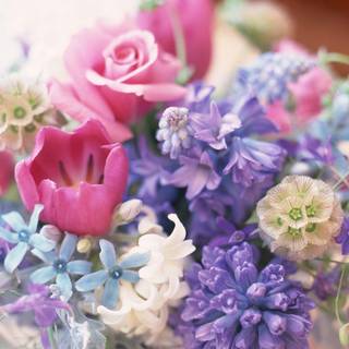 Bouquet of spring flowers wallpaper