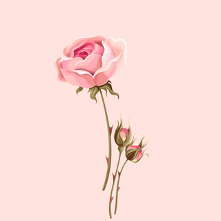 Love Yourself BTS wallpaper