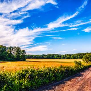 Summer farm wallpaper