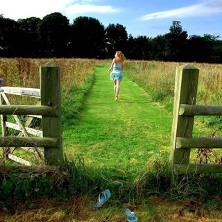 Summer farm wallpaper