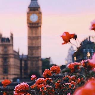 Spring England wallpaper