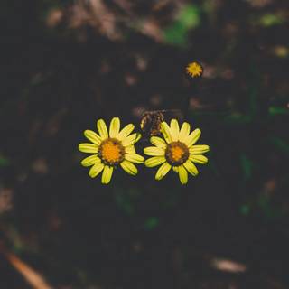 1200x1920 minimal wallpaper