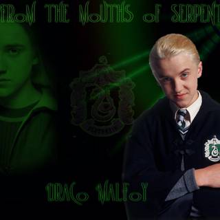 Slytherin Quidditch wallpaper