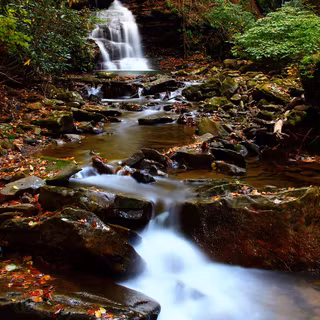 Nature mobile phone wallpaper