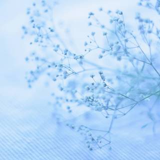 Sky blue aesthetic wallpaper