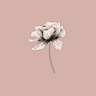Minimalist flowers drawing wallpaper