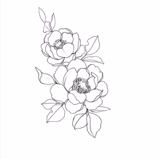 Minimalist flowers drawing wallpaper