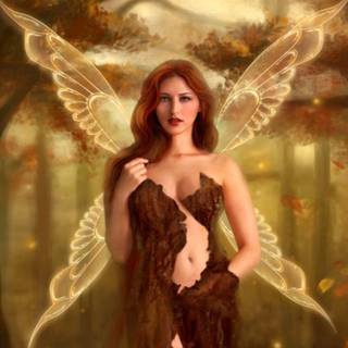 Beatutiful fairy wallpaper