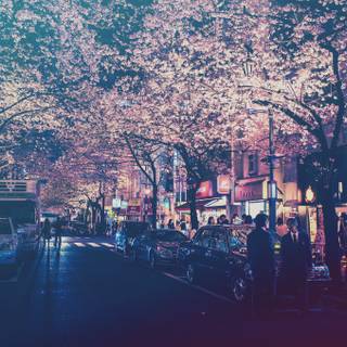 Street anime Japan wallpaper