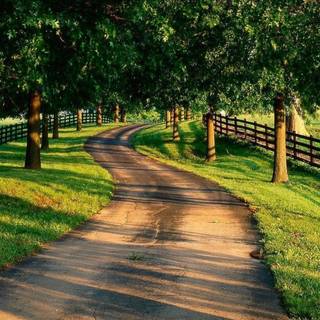 Country farm wallpaper
