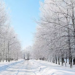 Winter iPhone wallpaper