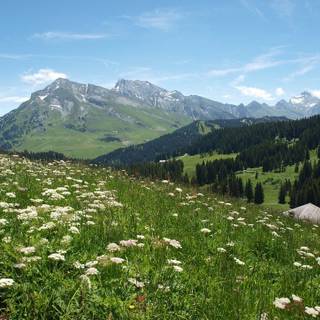 Thones France wallpaper