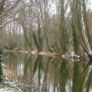 Tranquil river wallpaper