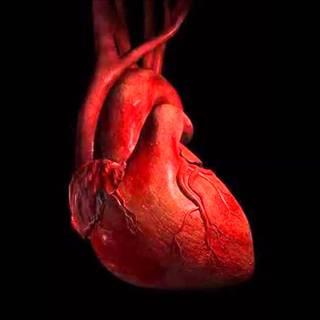 Fast heart beating wallpaper