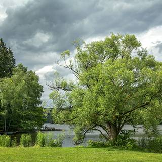 Summer rivers wallpaper