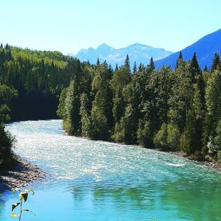 Summer rivers wallpaper