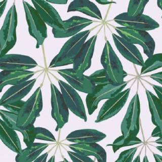 Banana leaf wallpaper