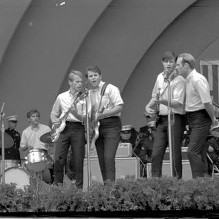 Beach Boys wallpaper