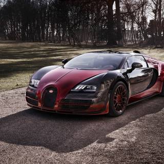 Bugatti Veyron Grand Sport Vitesse HD wallpaper