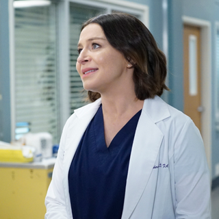 Amelia Shepherd wallpaper