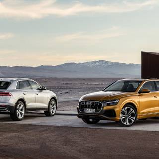 Audi Q8 HD wallpaper