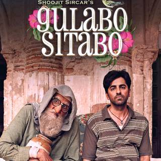 Gulabo Sitabo wallpaper