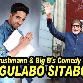 Gulabo Sitabo wallpaper