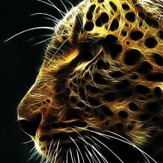 Android tiger wallpaper