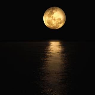 Moonlight reflection HD wallpaper