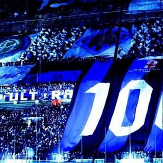 Football fans wallpaper