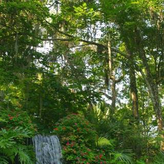 Rainbow over water cascades wallpaper