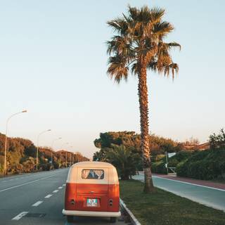 We Own The Summer wallpaper