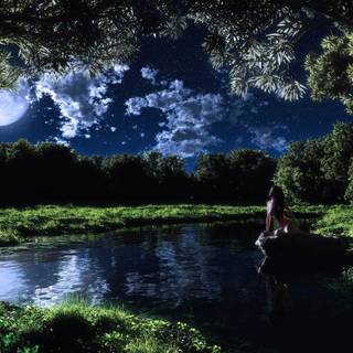 Lake stones trees wallpaper