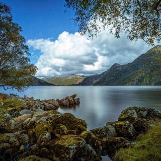 Lake stones trees wallpaper