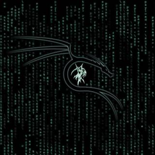 Kali Linux HD desktop wallpaper