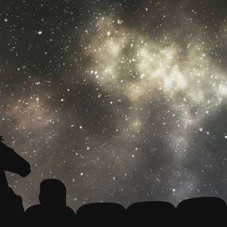 Bojack Horseman monochrome minimalist wallpaper