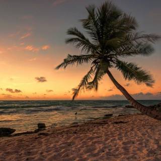 Night at beach 4k wallpaper