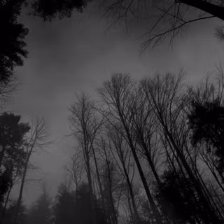 Aesthetic Mac black wallpaper