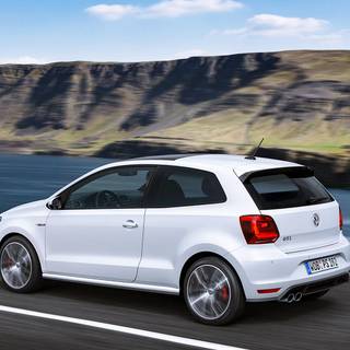 Desktop Polo wallpaper