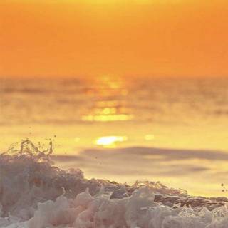 Beautiful iPhone wallpaper