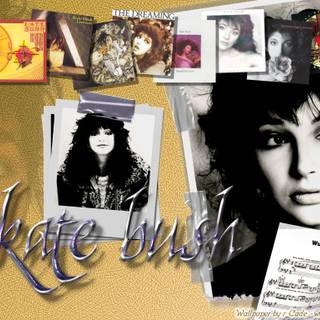 Kate Bush wallpaper