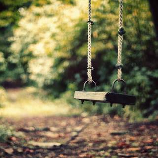 Sunset swing wallpaper