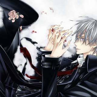 Zero Kiryu wallpaper