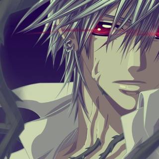 Zero Kiryu wallpaper