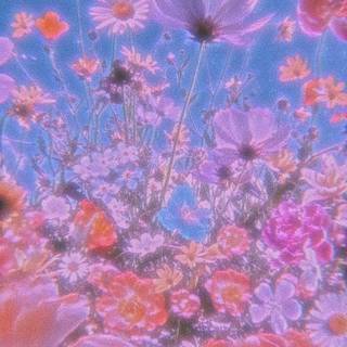 Aesthetic red flower field wallpaper