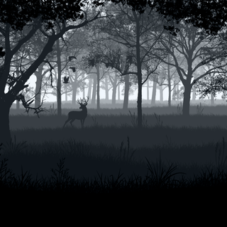 Deer forest HD wallpaper