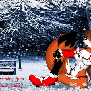 Christmas Furry wallpaper