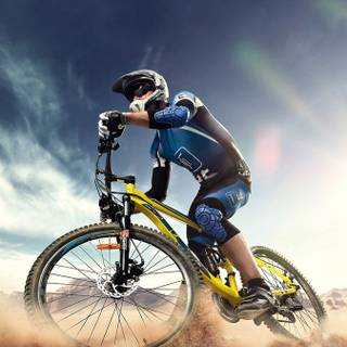 Bikes iPhone 11 wallpaper