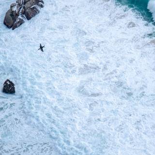 Beach rocks snow HD wallpaper