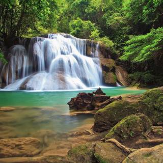 Waterfall forest HD wallpaper